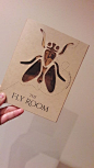 The Fly Room DVD Special (Consumer Use Only)