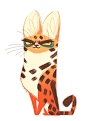 Serval Cat: 