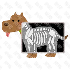 在宠物医院做X光检查身体的小狗狗猫咪小猫手绘卡通插画手绘png儿童插画免扣素材2