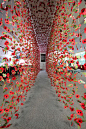 Rebecca Louise Law's 8,000 remembrance poppies form a stunning corridor