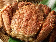 海鲜美食壁纸桌面壁纸1