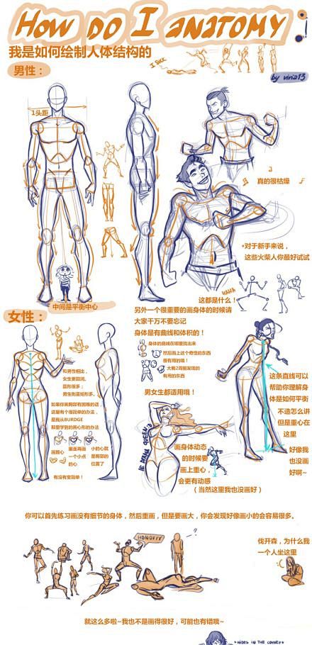 #绘画教程# 人体各部位肌肉的绘画研究，...