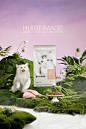 网易天成宠物猫粮摄影-古田路9号-品牌创意/版权保护平台
