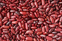 饱满的红豆或菜豆