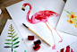 Watercolor tropical set : watercolor tropical elements 