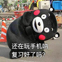 凉风子采集到霓虹·KUMAMON