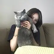 逗逗猫猫
