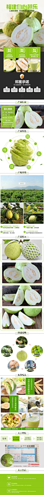 白心芭乐详情