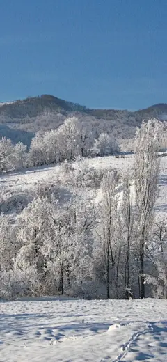 风景壁纸 - 高清图片，堆糖，美图壁纸兴趣社区