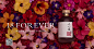 十八岁杨梅酒