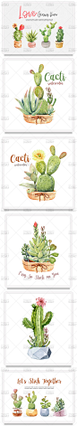 ai矢量 多肉植物仙人掌 盆栽绿植装饰 水彩插画 平面设计素材图集-淘宝网