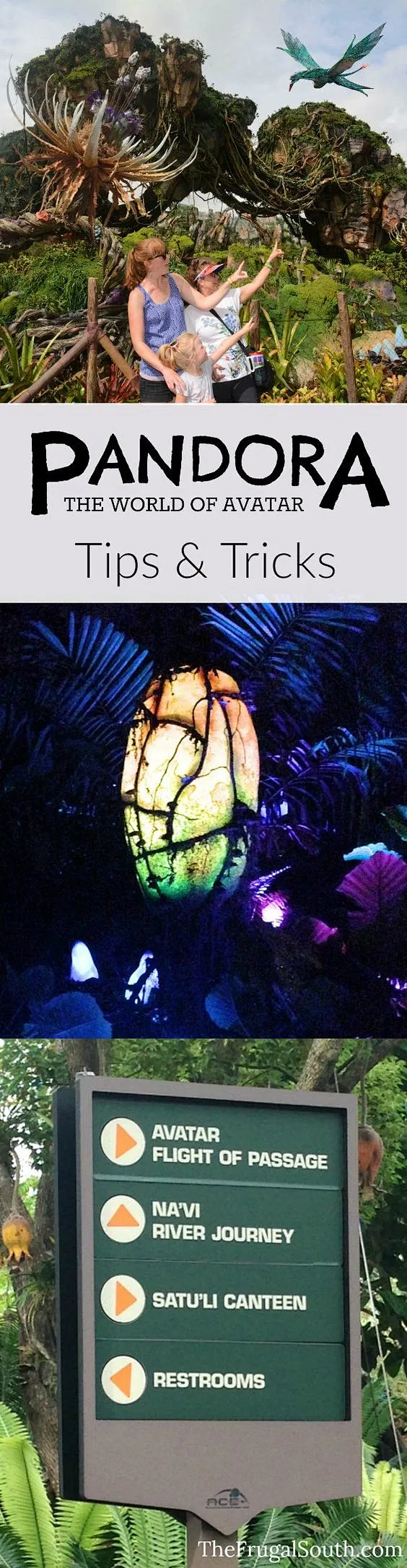 森系婚礼内的花瓣采集图片-郑777