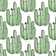 仙人掌,雕刻图像,艺术,墨水,绿色,铅笔,壁纸,植物群,春天,花