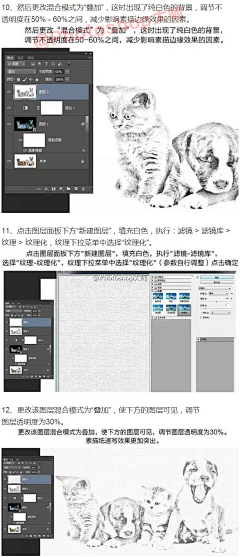 我的喵喵猫采集到PS技巧