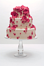 红色的婚礼蛋糕-婚礼蛋糕-汇聚婚礼相关的一切