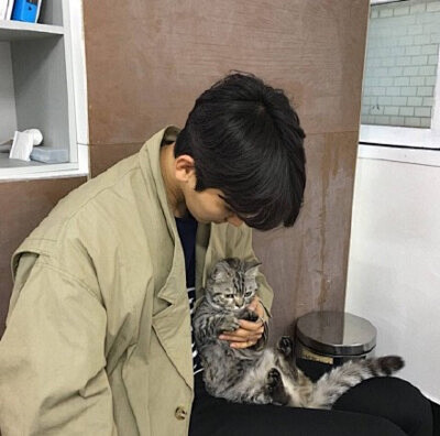 男头抱猫