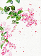 古风素材/古风底图/古风花/古风植物/唯美古风底图/古风纯排底图/古风纯排素材/古风溶图素材/云起书院/晋江文学城/红袖添香/起点女生网/恰饭工作室