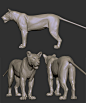 Lioness Sculpt: 