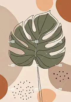 龟背竹 叶子 放荡不羁的 花卉背景 波西米亚风 背景 画画 海报