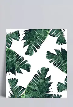 水彩墨绿色芭蕉叶|绿色,手绘,植物,叶子,大片芭蕉叶