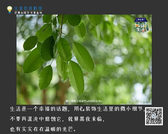 《向往的生活》金句，喜欢这50句文案 :...
