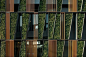 Vertical Living Gallery / Sansiri  #wood #garden #facade: 