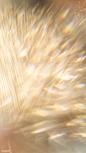 Download free image of Blurry golden glitter background texture by Teddy about phone wallpaper, iphone wallpaper, background beautiful, glitter, and sparkle background 2282342