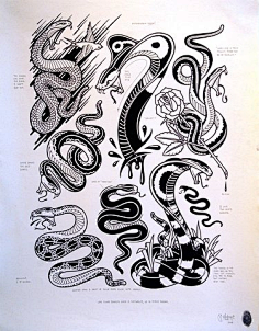 花瓣网|陪你做生活的设计师 | ##纹身图案# #刺青# #tattoo# #ink