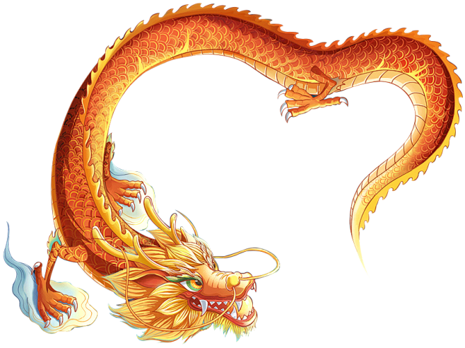 龙6