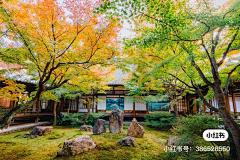 NANAMI-采集到J-【景观】庭院