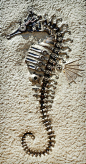 艺术家：克里斯托弗·特罗特（Christopher Trotter），海马·怀特（Hippocampus Whitei，海马）。 我想看到一段时间的是这个雕塑。 完全由机械零件构成的海马化石。