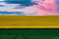 Rolling Hills in Moravia风光摄影
