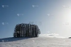 雪,山,黄昏,美瑛町,贺卡,日本落叶松,深雪,背景,户外,天空