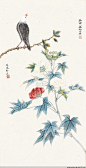 谢月眉工笔花鸟作品欣赏 -  名卷若。江苏常州人。自幼喜绘事，性平淡，词人谢玉岑三妹，画家谢稚柳三姐，终身未嫁，长期随谢稚柳、陈佩秋夫妇寓居上海。善花鸟，早年由恽南田、陈老莲花鸟入手，后上宗宋元工笔画法，所作工笔没骨意写花鸟精微典丽、静美自然、清新高致充满生机。　
