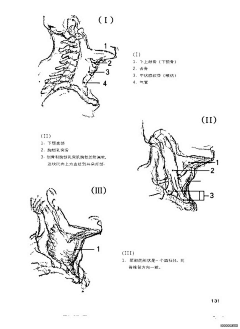 盐画采集到线稿