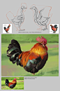 Rooster Study for Year of Rooster, Grace Liu : Happy Lunar New Year :)  Hope the year of rooster gives everyone energy, hope, and confidence!<br/>I'm attaching steps for people who are relatively new to studying from photo.  Please excuse the wordin