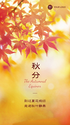 羊羊YOUNGS采集到秋分