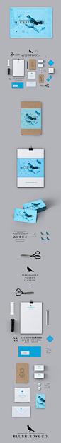 Bluebirds&Co. #branding #identity | Awesome branding & identity & pac…