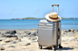 旅行箱和帽子旅行概念图行李箱拉杆箱