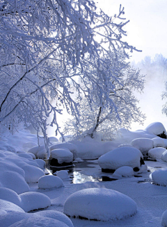 无聊axy采集到小雪