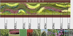 “妖精的“口袋采集到花艺