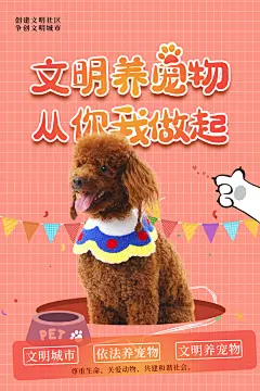 高端萌宠宠物宣传海报