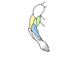 人体绘画上半身肌肉解析图详解，了解一下 ​​​​