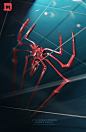 Spidey on Behance