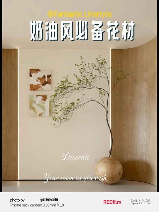 绿植奶油风装修 - 小红书搜索-花瓣网