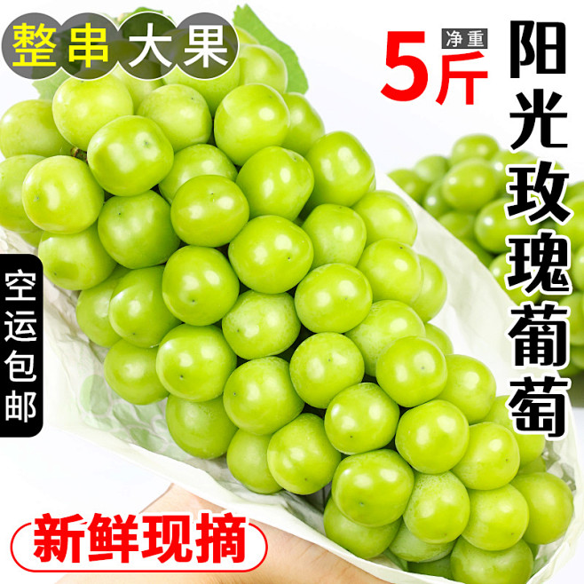 青提测品5