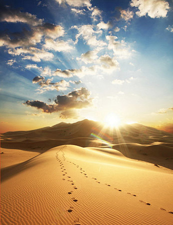 撒哈拉沙漠的日落，不过我不太想去这个地方...