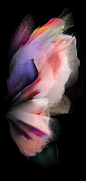 (43) Pinterest