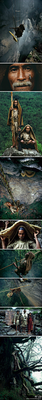 【悬壁上的采蜂人】在喜马拉雅山麓生活着世界上最大的蜜蜂，它们的蜂巢分布在悬崖上，因此得名“喜马拉雅悬崖蜂”。尼泊尔采蜂人总是冒着生命危险，顺着悬崖上方垂下的绳梯，在同伴的协助下割取蜂蜜。（法国摄影师Eric Valli拍摄）