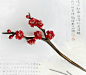 木发簪梅花簪子